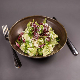 Vorspeise Kleiner grüner Salat Französisch